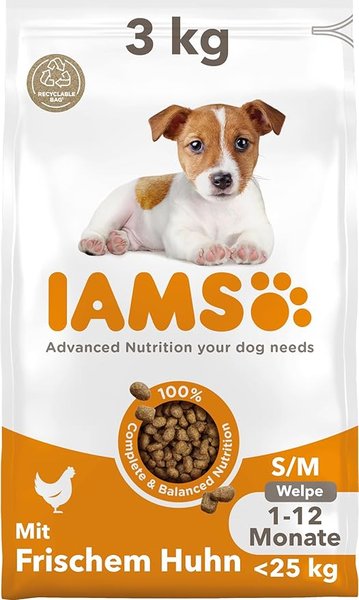 IAMS Junior mit frischem Huhn